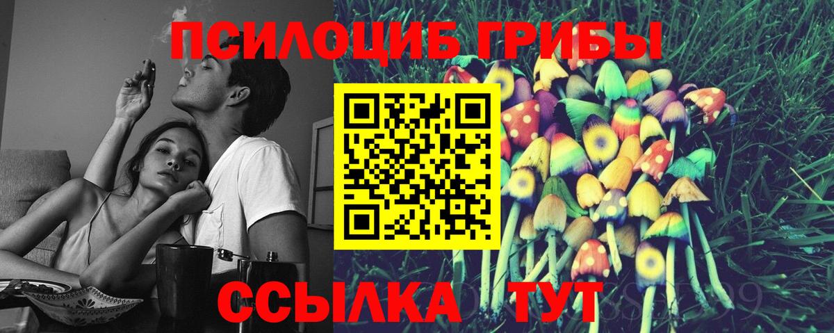 Псилоцибиновые грибы MAGIC MUSHROOMS Бирск