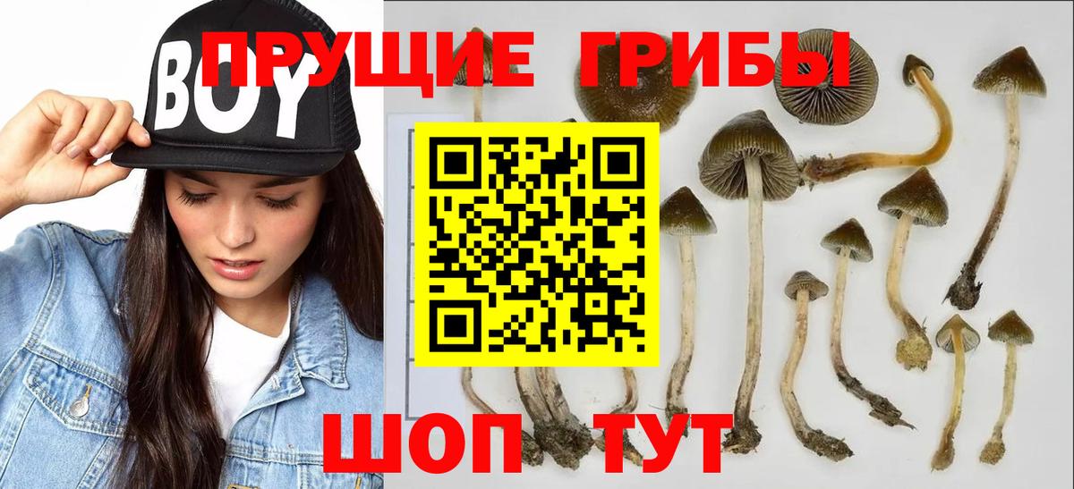 Бирск  Галлюциногенные грибы прущие грибы  цены наркотик  Вход с VPN 